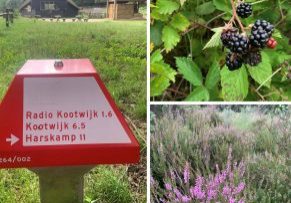 Heidewandeling.docx